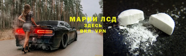 кокс Алзамай