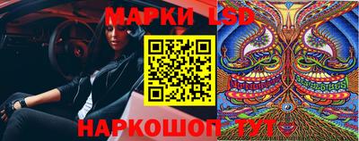 меф Кингисепп