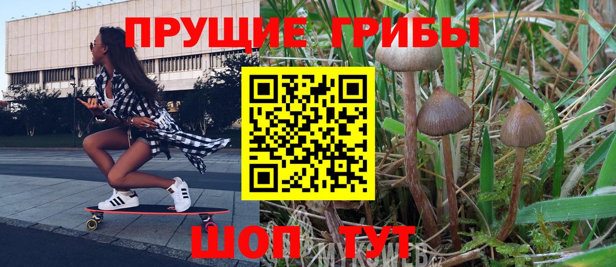 Псилоцибиновые грибы мухоморы Глазов