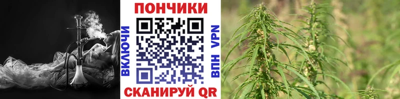 купить наркотик  Глазов  Канабис ГИДРОПОН 
